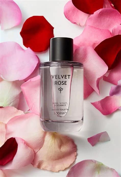 marks and spencer rose dupe